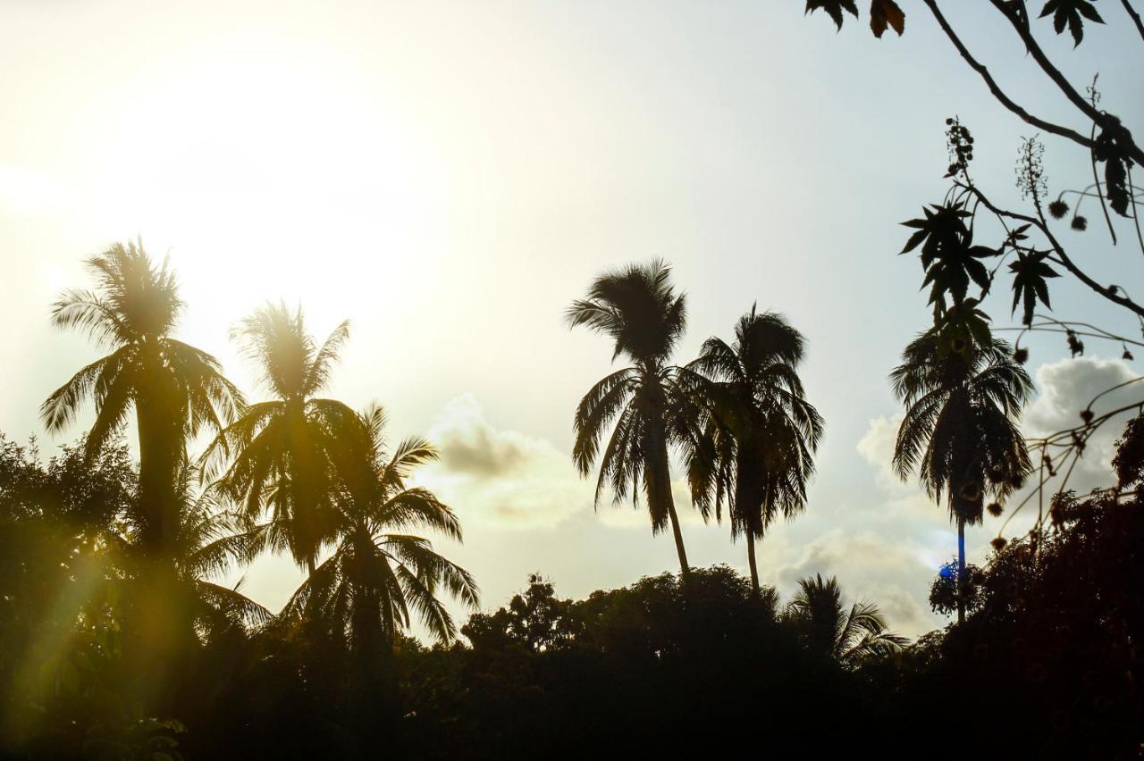 Posada Lupita Puerto Escondido  Kültér fotó