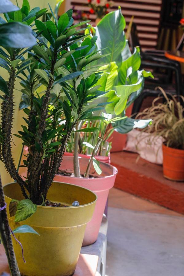 Posada Lupita Puerto Escondido  Kültér fotó